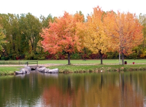 Entraînement Cardio Plein Air - Parc Angrignon