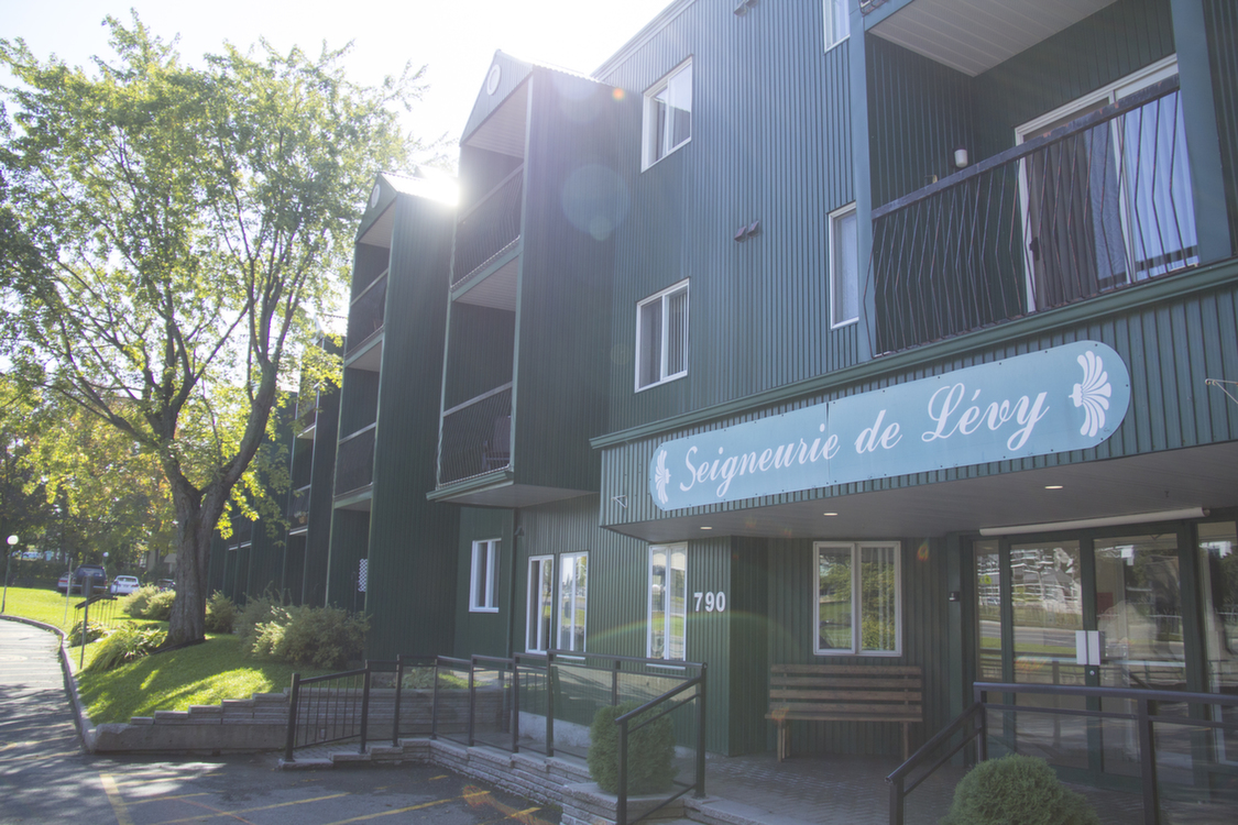 La Seigneurie de Lévy
