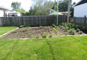 Potager