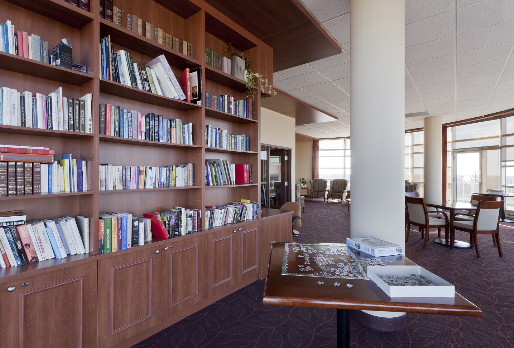 Le Vivalis - salon avec bibliothèque