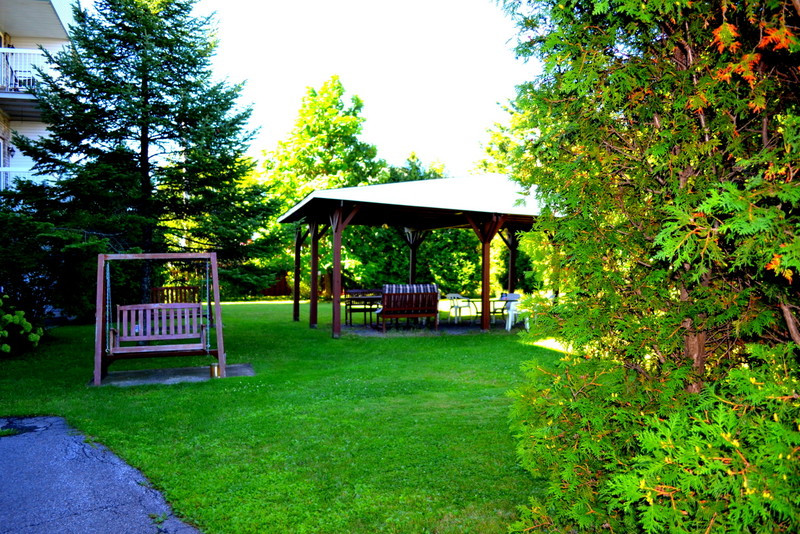 Balançoire et pergola
