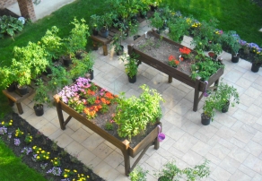 Potagers communautaires
