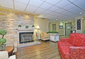 Salon avec foyer et fauteuils