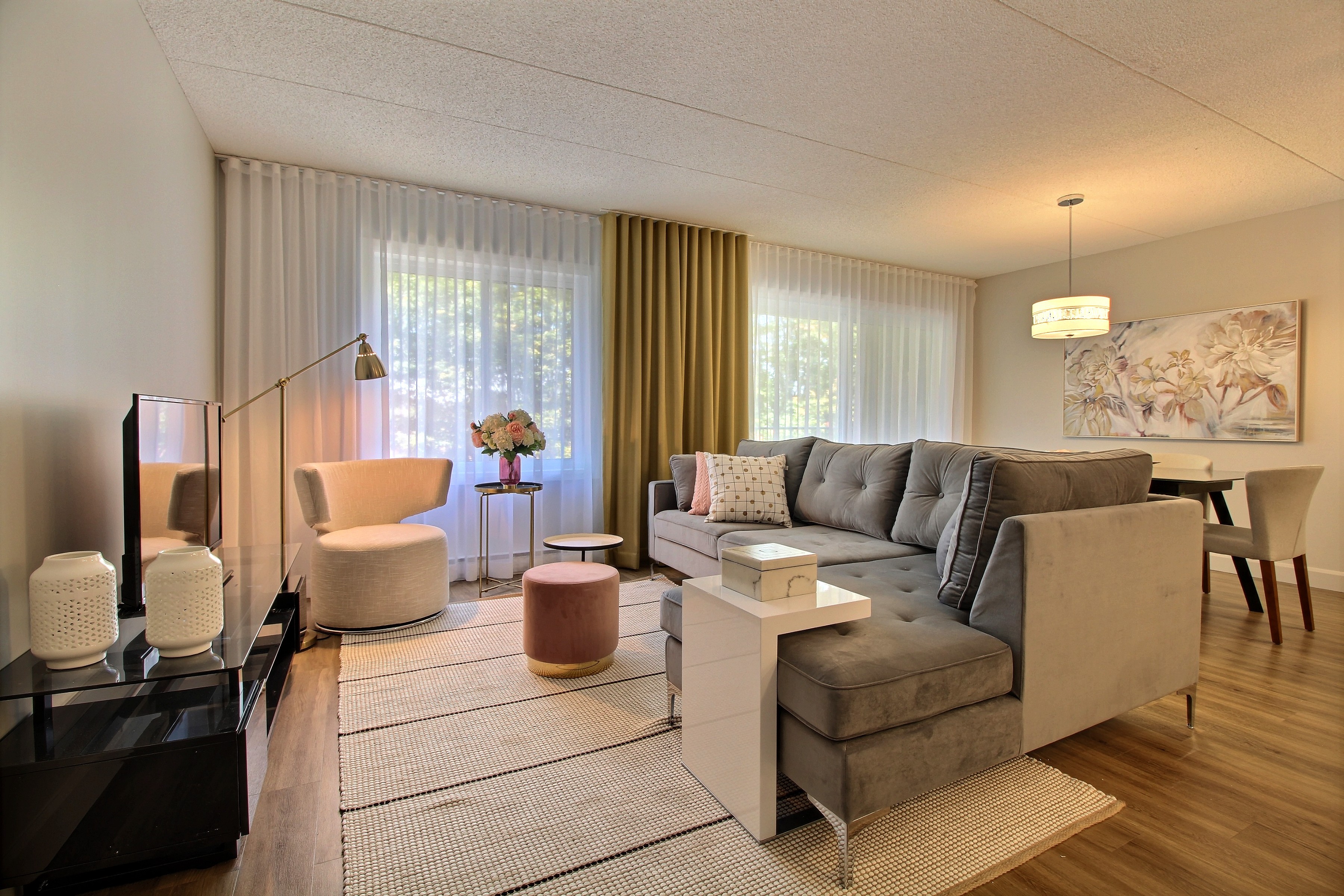 salon appartement