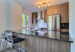 Unité modèle - comptoir 