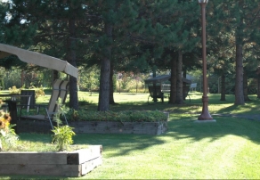 Jardins communautaires et potagers