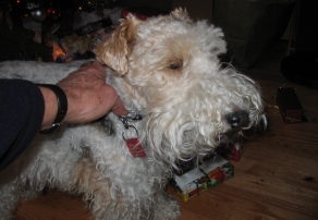 Mascotte