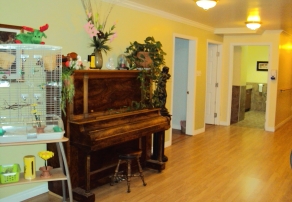 Salon