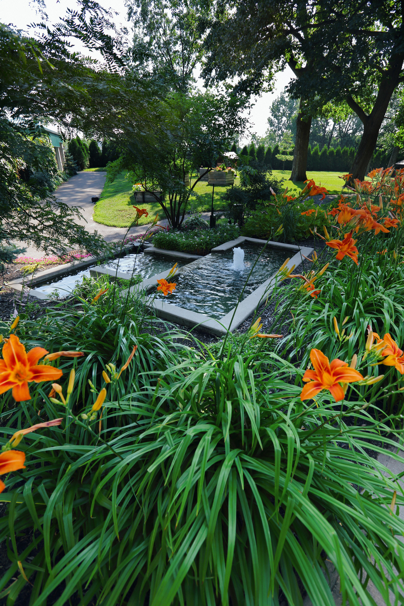 Jardin d'eau