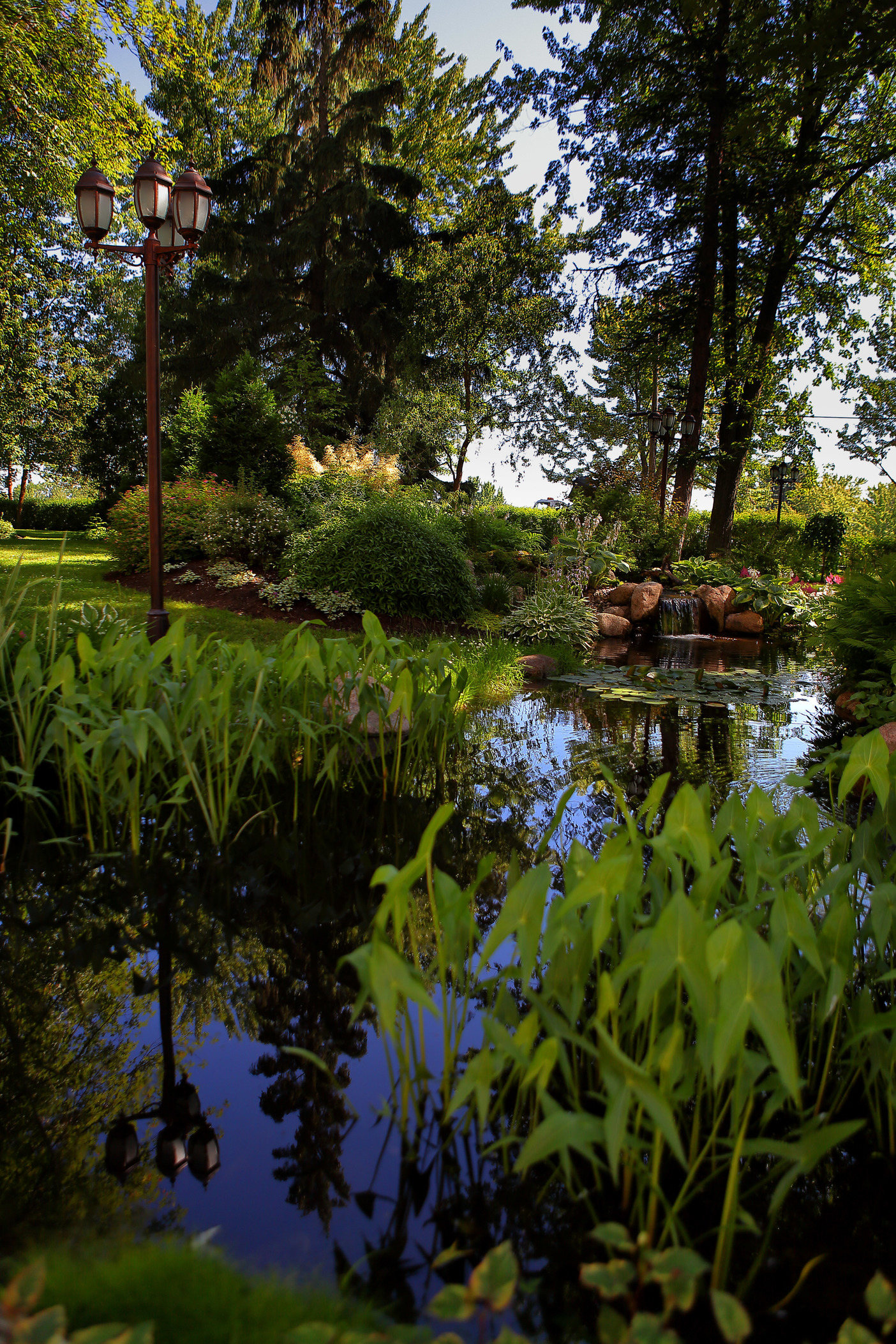 Jardin d'eau
