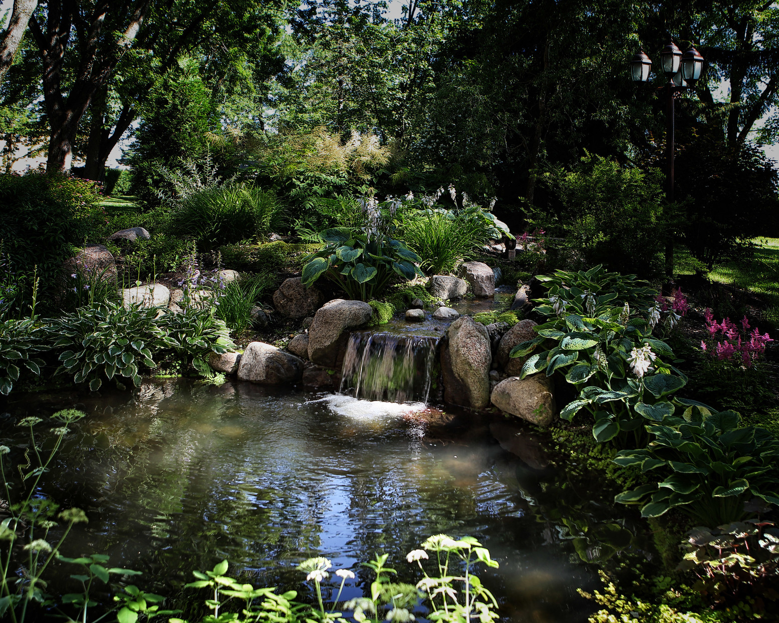 Jardin d'eau