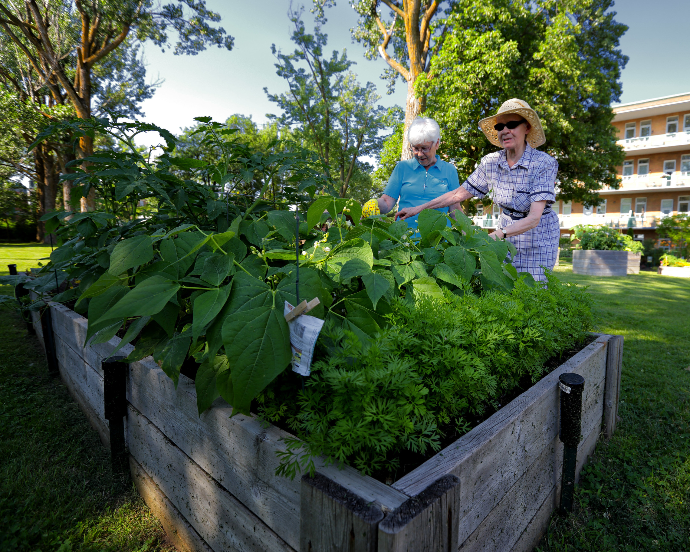 Jardinage