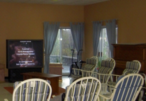 Salle de divertissement écran géant